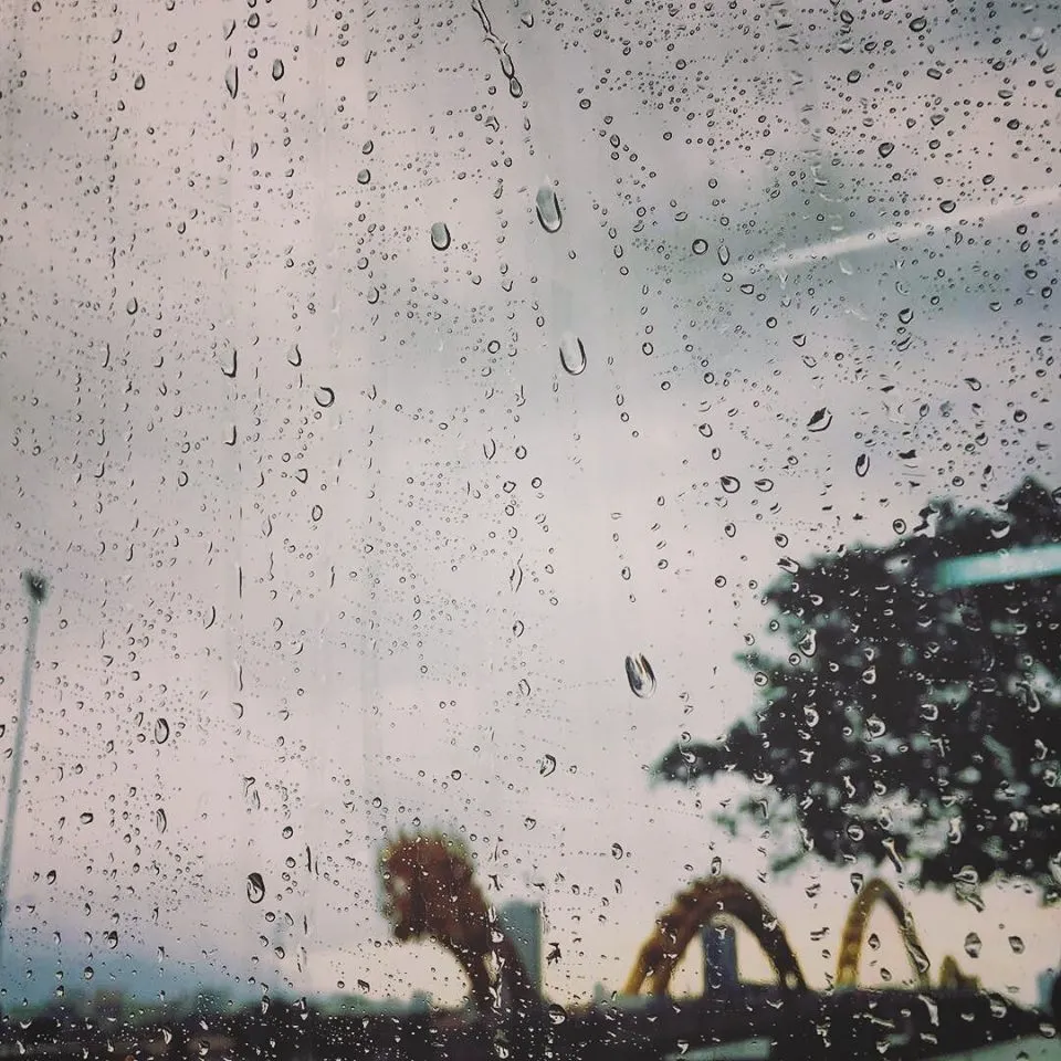 Vietnam Raining Season Guide: When to Go & What to Expect